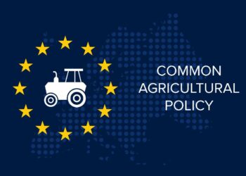 All'Italia 31 miliardi dalla nuova Pac