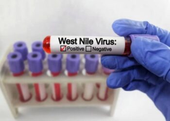 Altro caso di West Nile in Sardegna