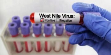 Altro caso di West Nile in Sardegna