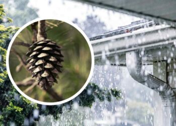 Ultime 72 ore di tregua: il meteo sta per impazzire, ecco la data e l’ora del grande e violento cambiamento