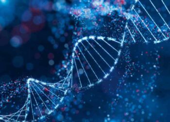 Banca digitale del DNA