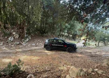 Carabinieri sul luogo in cui è avvenuto l'omicidio di Leonardo Ricucci