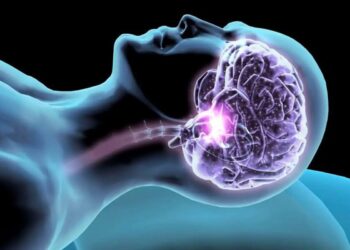 Nuovi studi: il digiuno intermittente può favorire la salute e le funzioni cerebrali