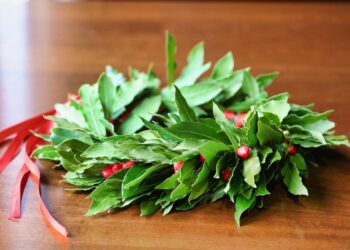 Corona d'alloro della laurea