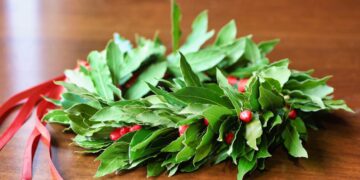 Corona d'alloro della laurea