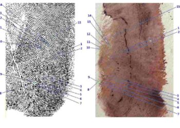 Delitto di Garlasco: scontro tra i genetisti sull'impronta 33