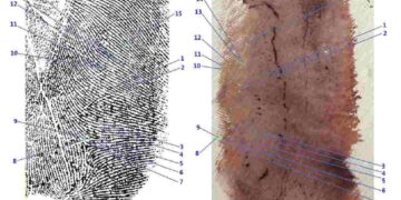 Delitto di Garlasco: scontro tra i genetisti sull'impronta 33