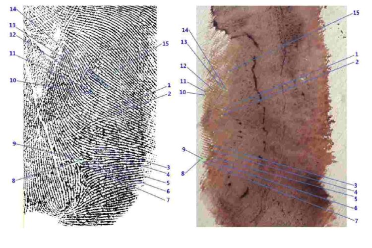 Delitto di Garlasco: scontro tra i genetisti sull'impronta 33