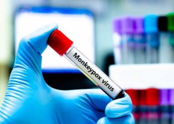 Finita l'emergenza per il vaiolo delle scimmie