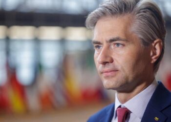 Il ministro degli esteri della Lituania Kestutis Budrys