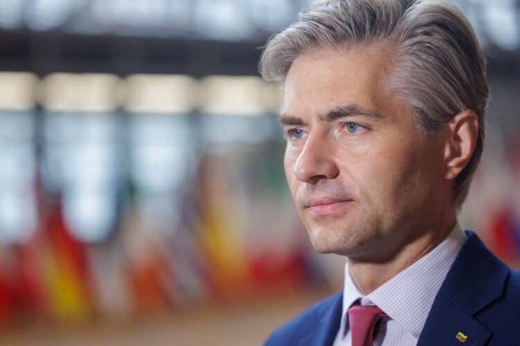 Il ministro degli esteri della Lituania Kestutis Budrys