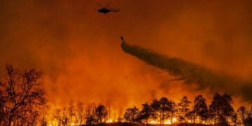 Incendi in Europa: l'allarme del WWF