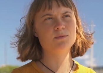 L'appello di Greta Thunberg dalla Flotilla