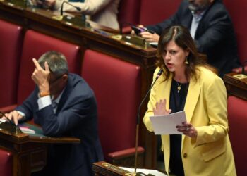 La deputata Chiara Braga