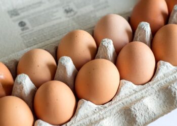 Una confezione di uova