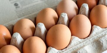 Una confezione di uova