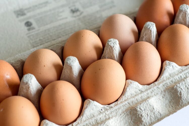 Una confezione di uova