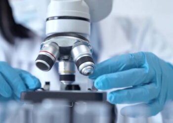 Nuove scoperte sul sistema immunitario