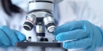 Nuove scoperte sul sistema immunitario