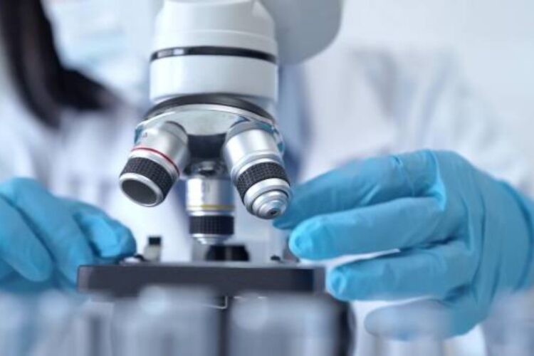 Nuove scoperte sul sistema immunitario