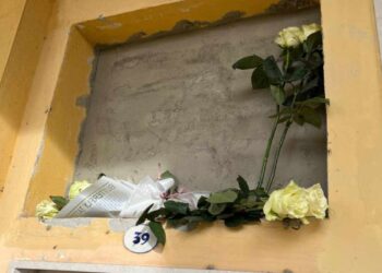 Un mazzo di rose bianche per Angelo Federico e Domenico Matteo, i due neonati trovati morti a Traversetolo