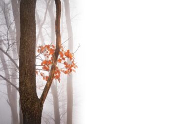 Una fredda giornata di ottobre