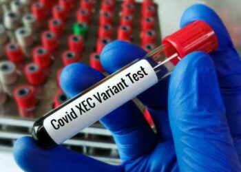 Variante Stratus del Covid