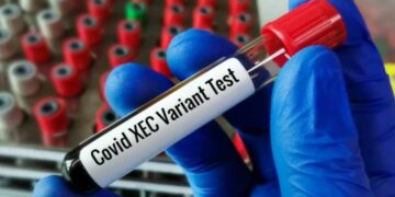 Variante Stratus del Covid