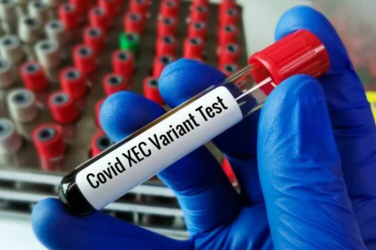 Variante Stratus del Covid