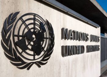 Waltz all'ONU chiede di riconoscere Hamas come responsabile del conflitto a Gaza