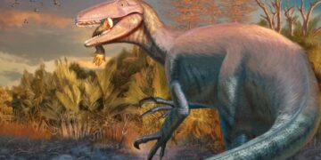 Il dinosauro Joaquinraptor casali