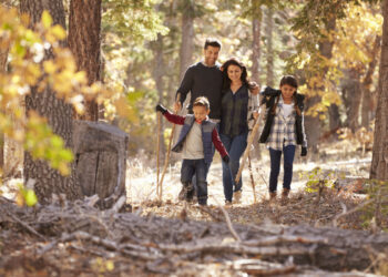 Gite d’autunno in famiglia: la guida definitiva tra foliage, castagne, animali e borghi incantati