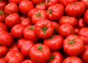 Cosa succede davvero al tuo corpo se mangi pomodori ogni giorno (la risposta non è scontata)
