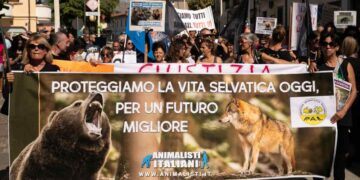 Una protesta animalista contro l'uccisione dell'orsa Amarena