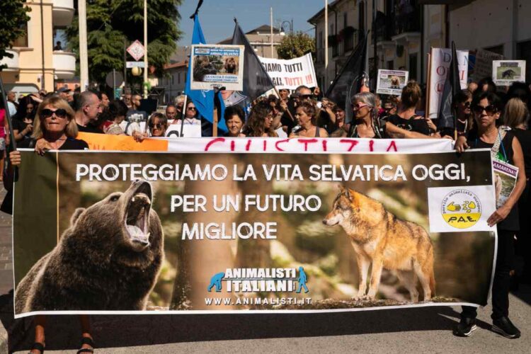Una protesta animalista contro l'uccisione dell'orsa Amarena