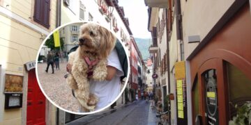 Tassa “di soggiorno” per i cani