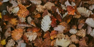 Autunno 2025, non fidarti del 21 settembre: ecco perché l’equinozio quest’anno cade il 22 e cosa significa davvero