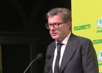 Il ministro dell'economia Giancarlo Giorgetti