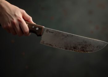 Ravenna, 14enne arrestato per tentato omicidio dei genitori: indagini in corso