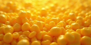 Mais per pop corn, il ministero della Salute avverte su “lotti contaminati”