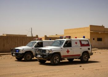 Oms: “Oltre 460 pazienti uccisi durante attacco all’ospedale di Al-Fashir in Sudan”