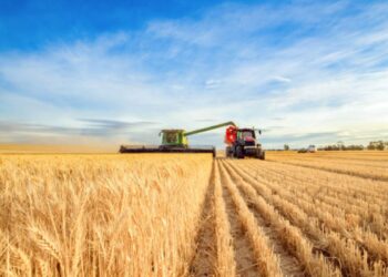 Bando Banca delle terre