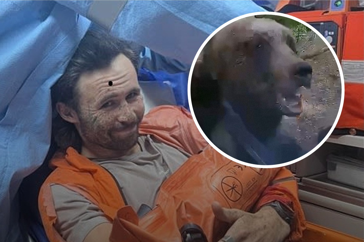 Billy Halloran, maratoneta neozelandese, sopravvive a un attacco di orso nei boschi di Myoko