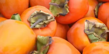 Non immagini cosa puoi fare con i cachi: 5 idee creative per gustarli da cima a fondo senza spreco