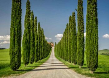 “Grotta dell’Orso” e acque miracolose: il percorso in Toscana che sorprende chiunque ci vada
