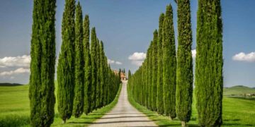 “Grotta dell’Orso” e acque miracolose: il percorso in Toscana che sorprende chiunque ci vada