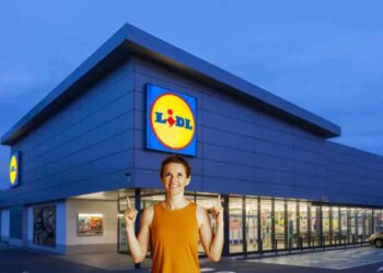Lidl sorprende tutti: fino a 155€ di sconto in bolletta (ma solo fino al 31 ottobre), scopri come ottenerlo