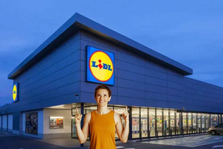 Sconto nascosto nell’app Lidl Plus: fino a 155 euro sulle tue bollette - www.alanews.it