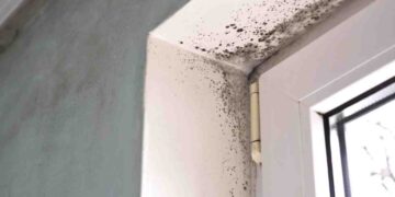 Non serve il deumidificatore”: il trucco con il sale che elimina l’umidità in poche ore (e funziona davvero)