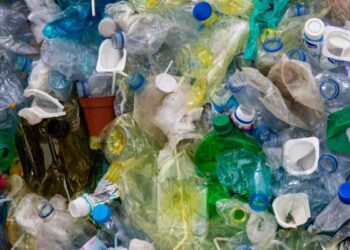 Perché le nuove bottiglie di plastica avranno un colore diverso: la spiegazione è sorprendente